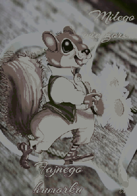 Wiewióreczka miłego wieczoru